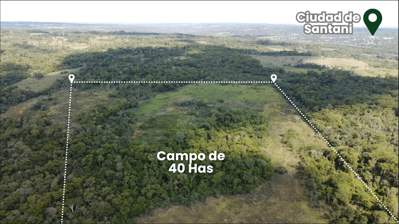 DRON Ediciones JPG