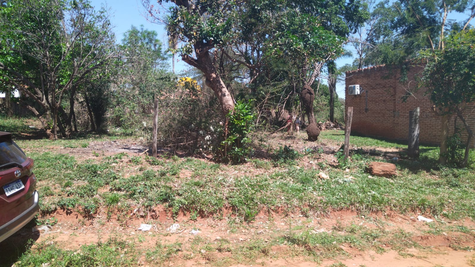 limpio terreno